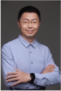 胡杨照片